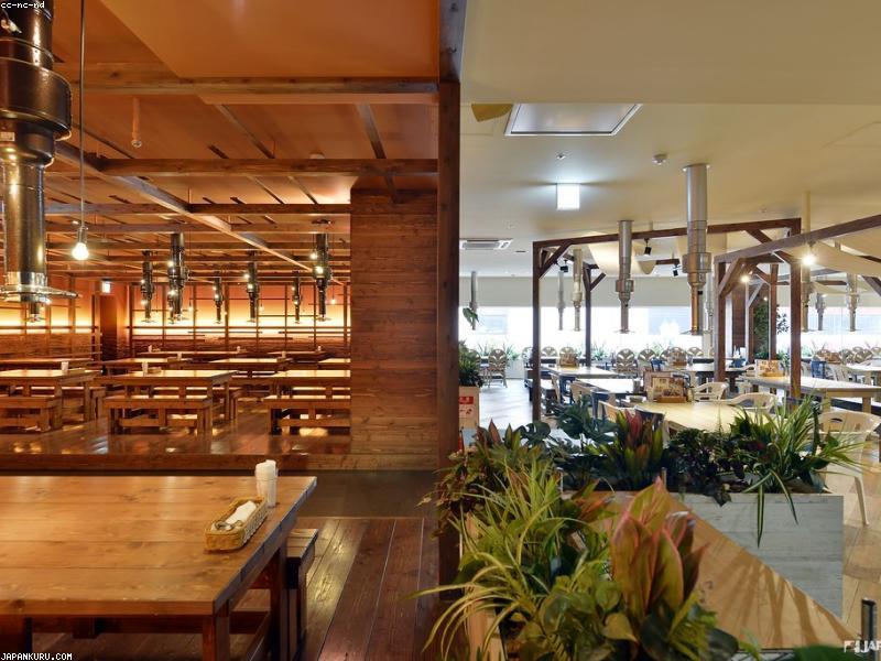樂威壯與其他ED藥物差異